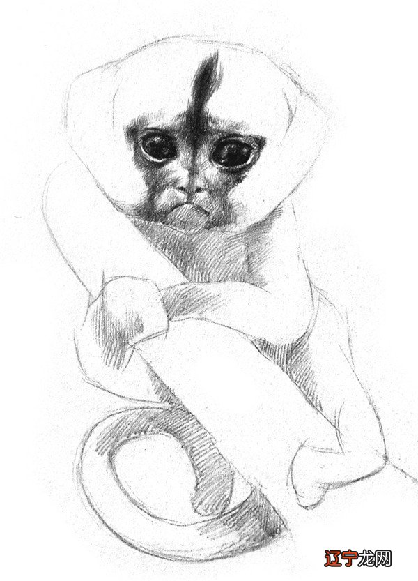 属猴2021年幸运色，属猴人运势好坏的3大生肖