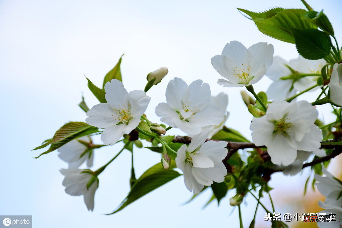 小翼聊星座星象解读：水逆结束，火星进入天蝎座，射手月开启