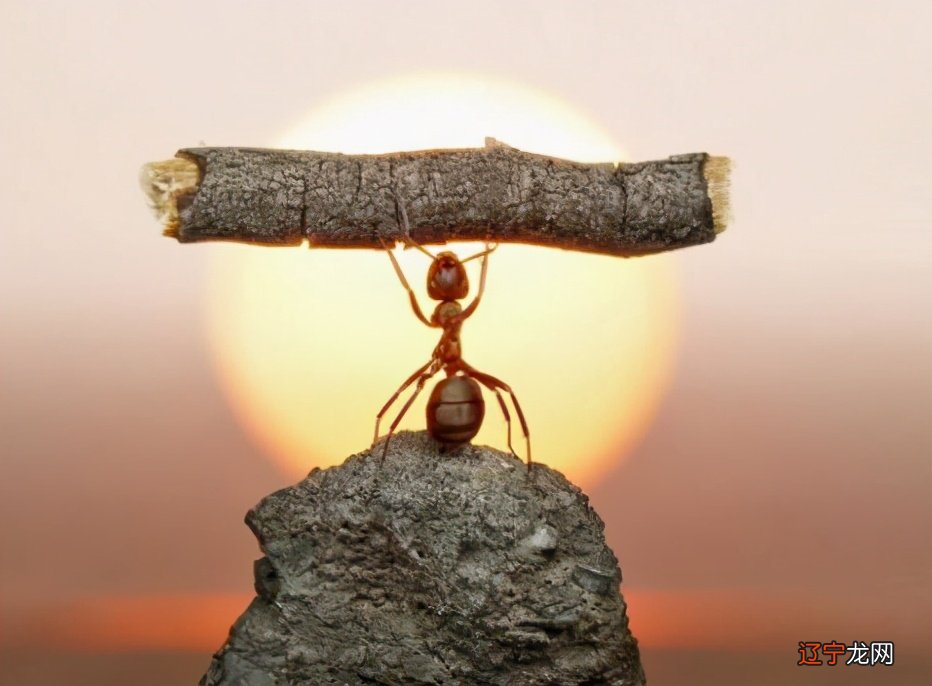 人生在世《易经》第二十九卦:坎卦;上坎下坎,水上再陷