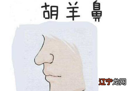 最有福气的7种鼻子面相