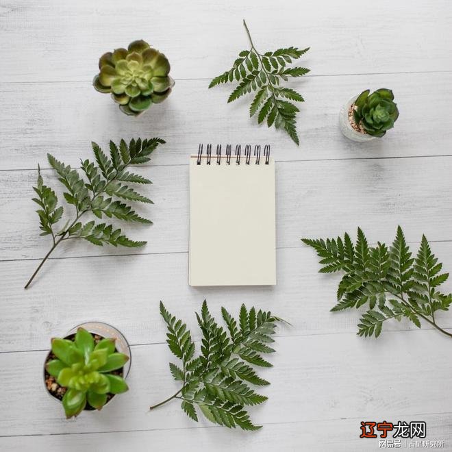 捷径可走，给十二星座带来了什么启示？！