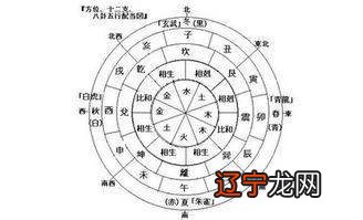 Q3八字有没有官运食神制杀格有官有人当官司
