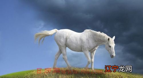 2016年属马的人年运势及运程如何?烂桃花多破财