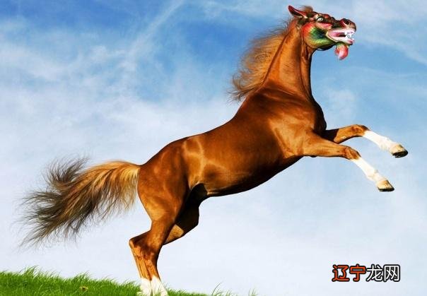 2016年属马的人年运势及运程如何?烂桃花多破财