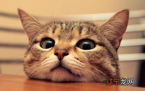 风水堂:如何从八字看配偶性格