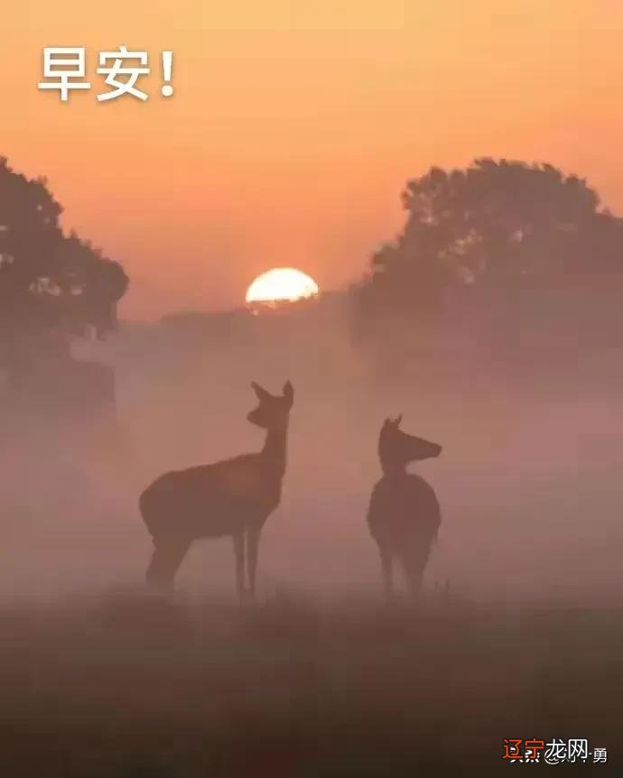 侠义上的“象”指的是“天和地”