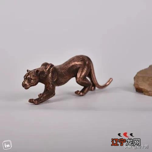 侠义上的“象”指的是“天和地”