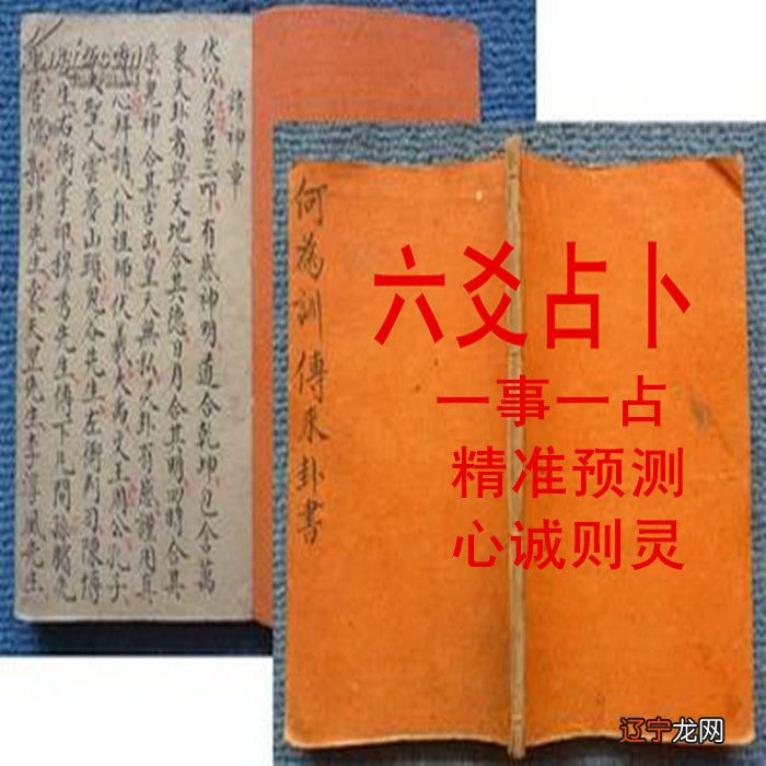 下载占卜 大数据配合,你还在等什么?快来本站下载吧