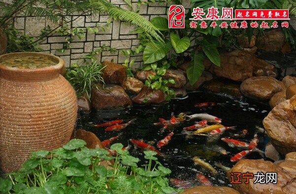 八字水多的能养鱼嘛_八字偏弱 八字喜水_八字属土可以养鱼ma