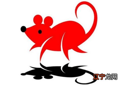 组图 属鼠月出生的鼠宝宝各有什么特点?