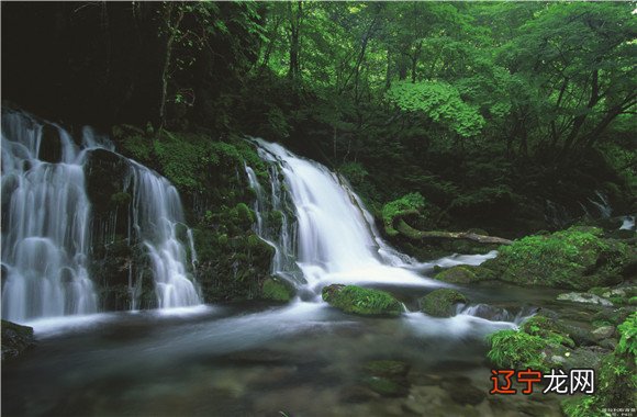 91G李居明风水系列百度网盘什么人适合学习命理预测学