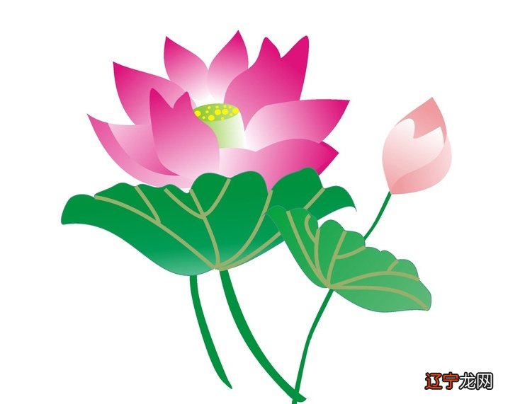 谢咏老师命理姓名谈!怎么看用生辰八字取名字,如何根据八字五行取名字