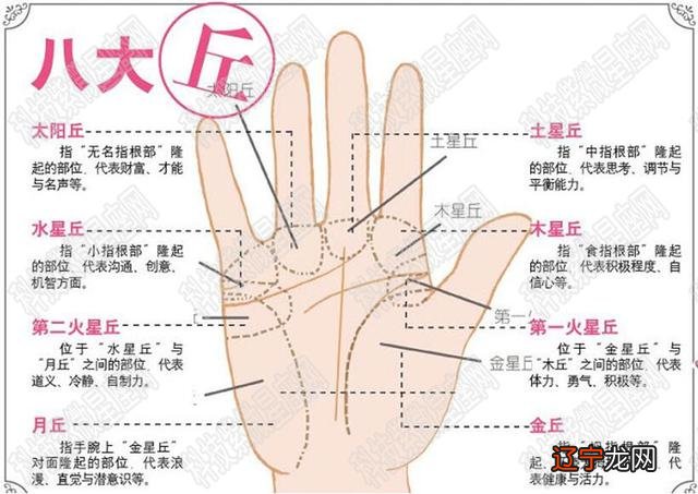 图 手相一术又称为学学,你知道吗?