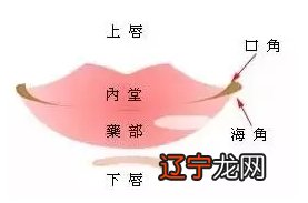 此人风水堂:额头窄的人智力不足