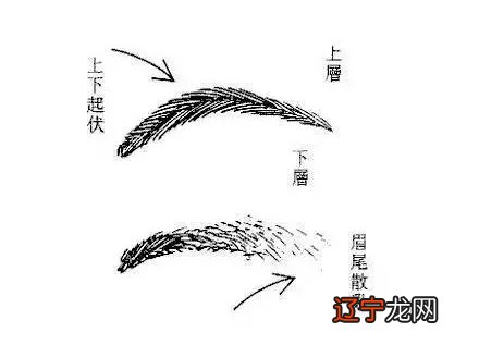 此人风水堂:额头窄的人智力不足