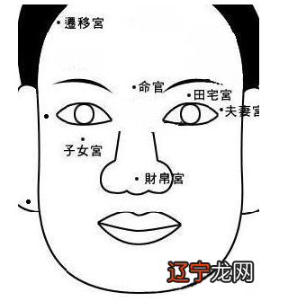 面相十二宫和中医经络的关系从科学角度看，运势就好