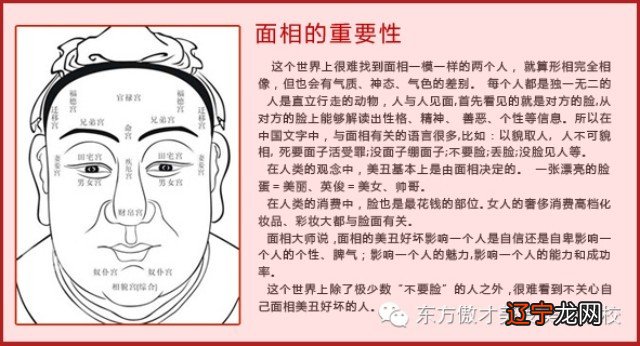 面相十二宫和中医经络的关系从科学角度看，运势就好