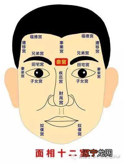 面相十二宫和中医经络的关系从科学角度看，运势就好