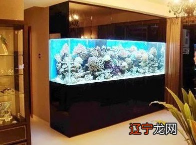 慈世堂:养鱼风水学玄空风水的方法和规矩的养鱼