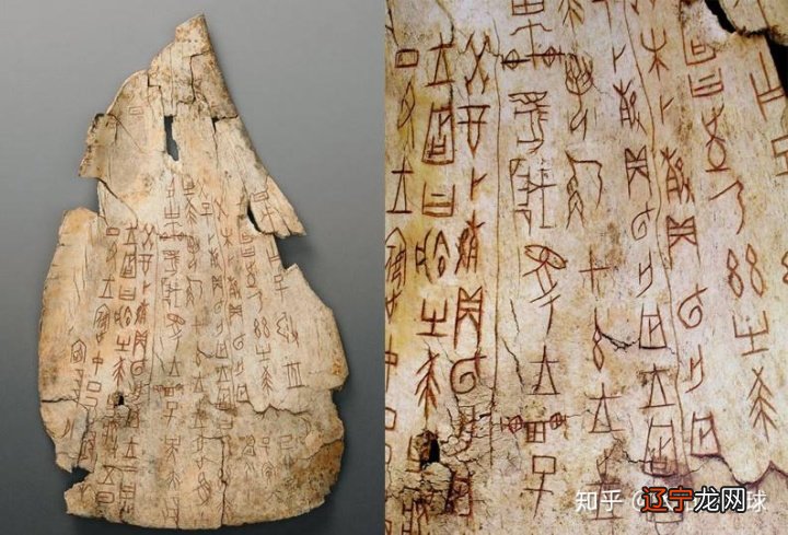 【李向东】占卜你是哪种类型的人，你知道吗？