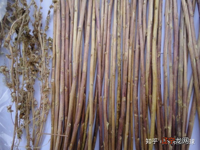 【李向东】占卜你是哪种类型的人,你知道吗?