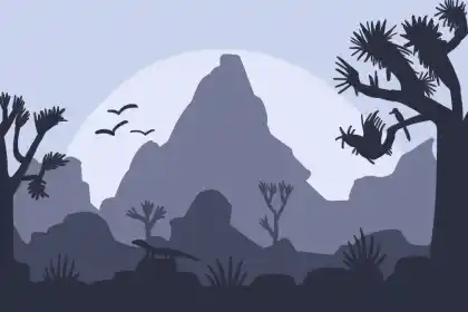 组图 陈霁冰风水堂：陈霁冰视频教学教程