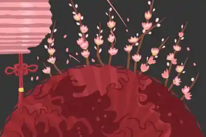 组图 陈霁冰风水堂：陈霁冰视频教学教程