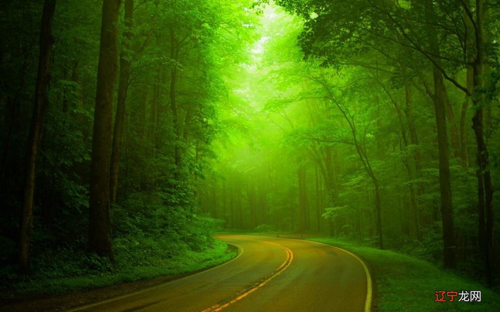 属蛇的最佳婚配对象牛和蛇能在一起合适吗