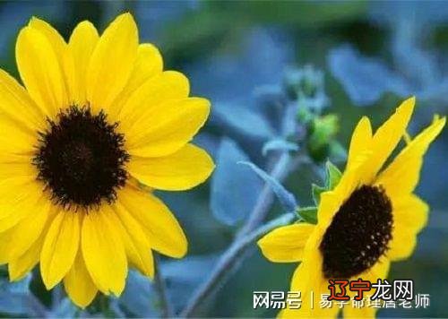 五行最怕缺什么生辰八字与五行的关系,一个人的命运如何都取决于