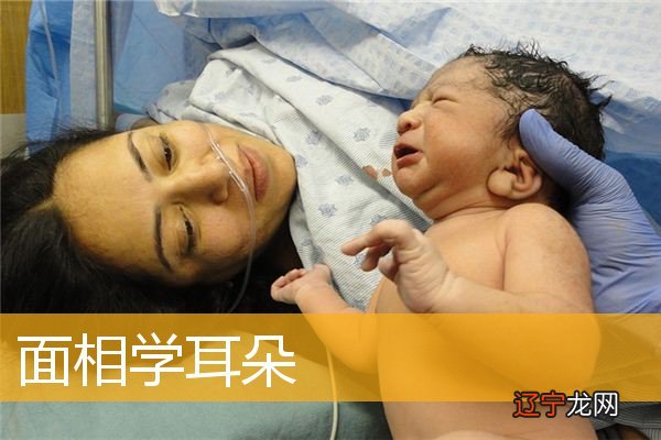 耳朵形状代表人的什么命运特征?面相耳朵图解!