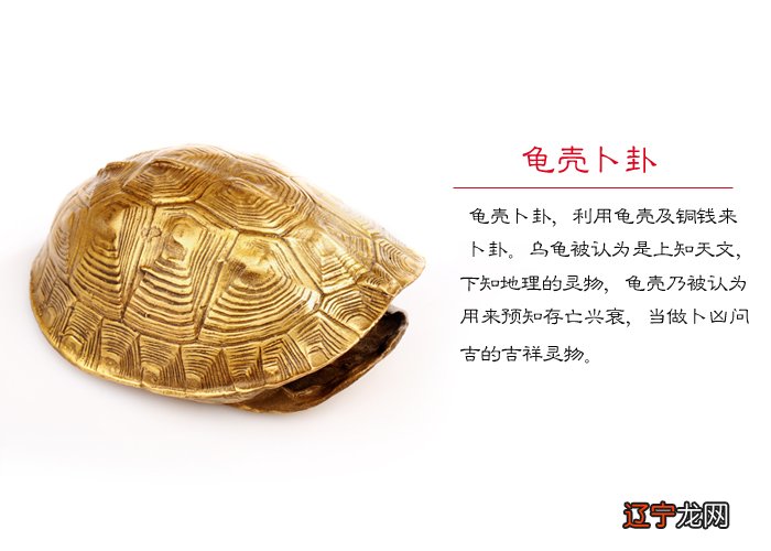 占卜地 《论衡》是王充的代表作品,也是中国历史上一部不朽的无神论著作