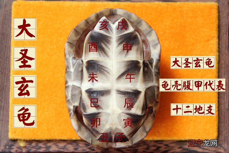 占卜地 《论衡》是王充的代表作品,也是中国历史上一部不朽的无神论著作