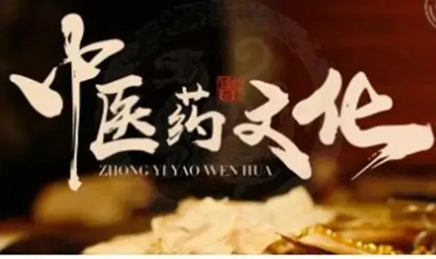 图 中医药高职高专学校开展中医药文化建设的主要任务