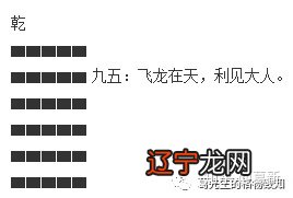 【每日一题】成语“飞龙在天”的资料