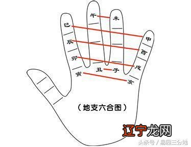 风水堂:地支共有十二个的分类及分类