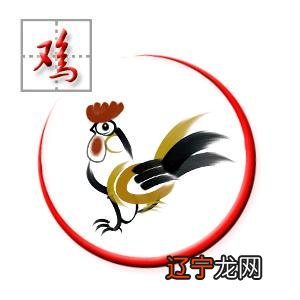 生肖属鸡的人2016年运势王洪年2016猴年十二生肖运程解析