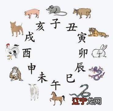 属鸡的女生和什么属相最般配？女生肖鸡最不配