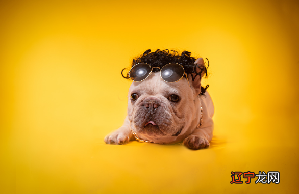 1958年属什么生肖人命运查询属相为哪般