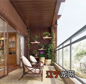 室内植物的风水摆放,让你的空间更健康!