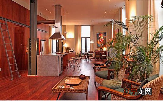 室内植物的风水摆放,让你的空间更健康!