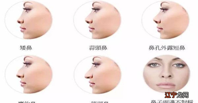 七种富贵鼻子的面相特征,有鼻型则较易出富贵之人