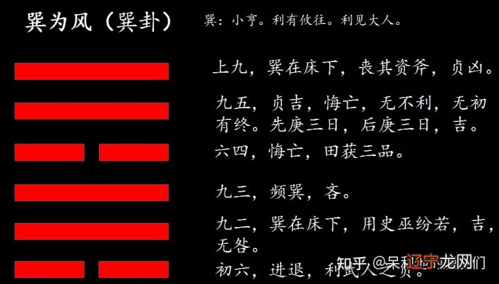 巽卦的取象物象为木，为长女，为工，为白，为长为阴