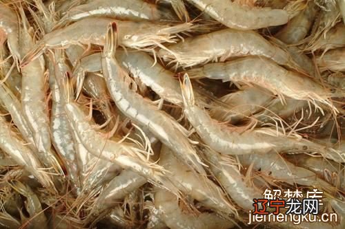 风水堂:梦见街上好多人的梦境