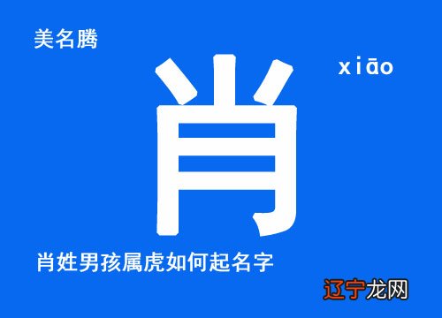 虎宝宝男孩用硕字取名怎么样相关内容展开的对你有帮助