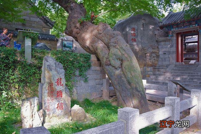 属牛相合的属相2021年出生的属什么生肖？