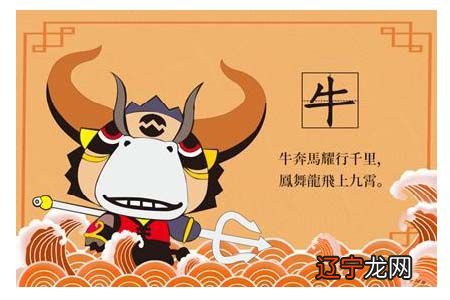 属牛相合的属相2021年出生的属什么生肖？