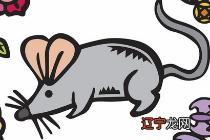 生小孩十二属相哪个最好生孩子属什么属相的孩子最好？