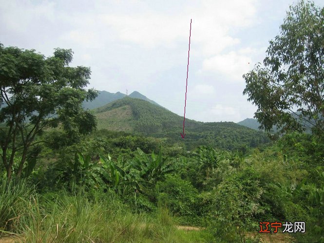 9月10日起 科学无神论连载李申《中国无神论史》