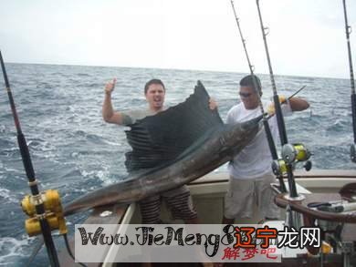 梦见作古鱼，预示尽看和悔怨，你知道吗？