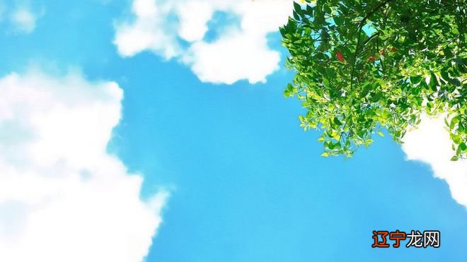 宝宝科学取名起名改名专业人工服务平台!你知道吗?